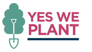 logo ywp